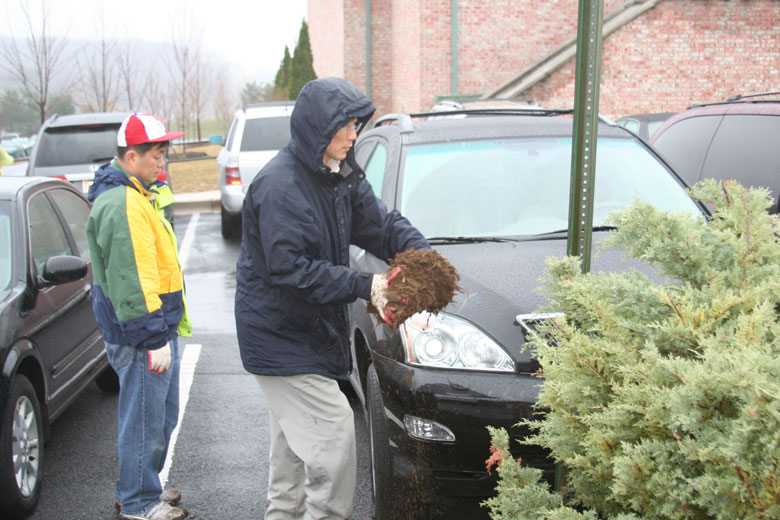 032809-mulch (32).jpg